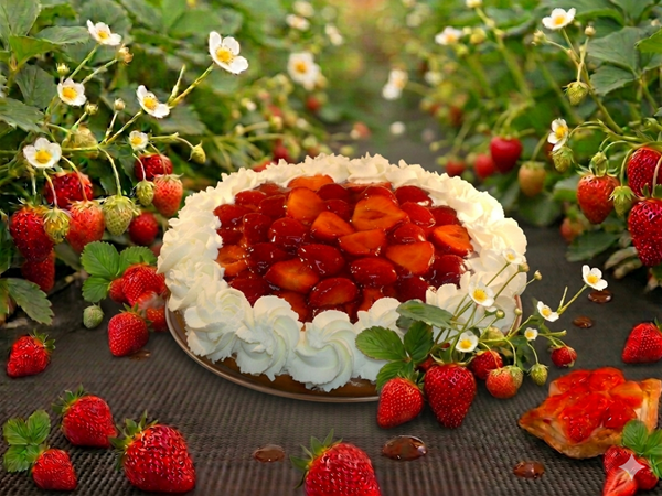 LUXE AARDBEIEN VLAAI