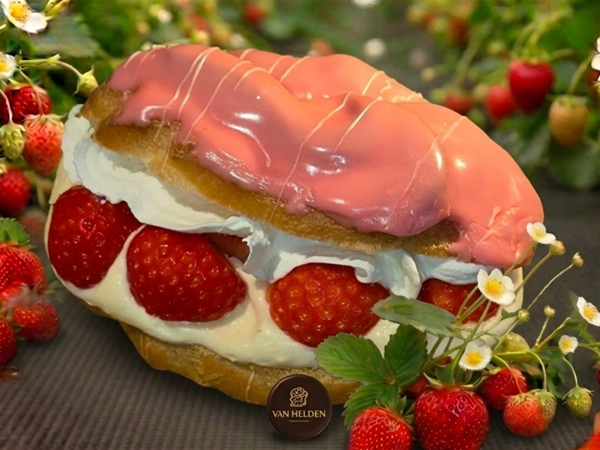 AARDBEIEN SOES