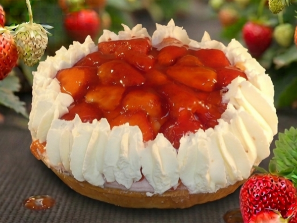 AARDBEIEN SPIJSTAART