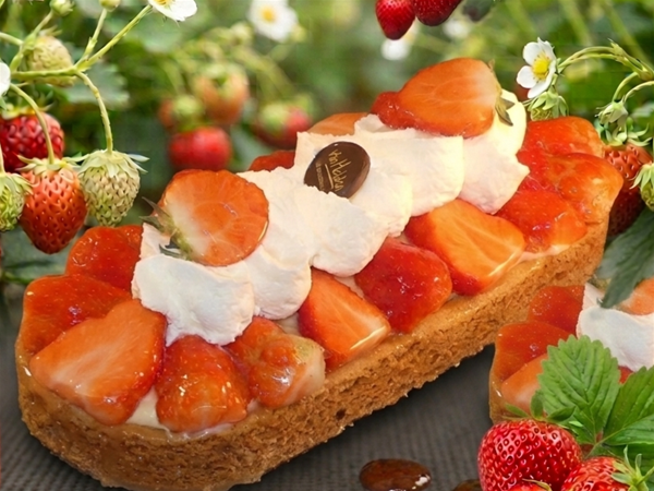 LUXE AARDBEIEN SLOF